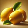 Achetez des citrons bio en ligne et faites-vous livrer