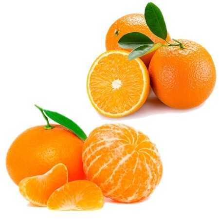 Compra caja mixta de naranjas grandes y mandarinas de Valencia directas de la huerta