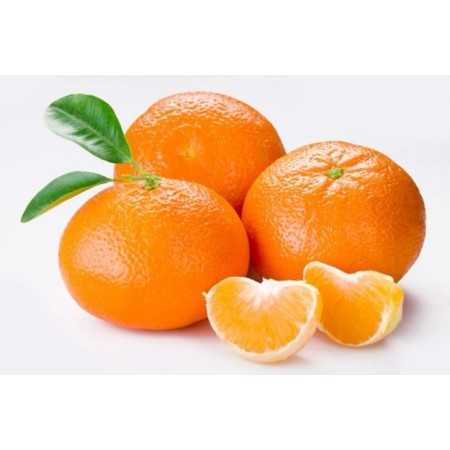 Mandarines